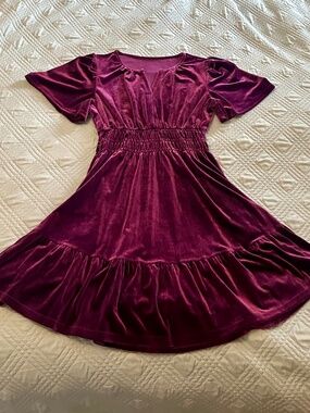 NWOT, Women’s Purple Velvet Party Dress, Size Small